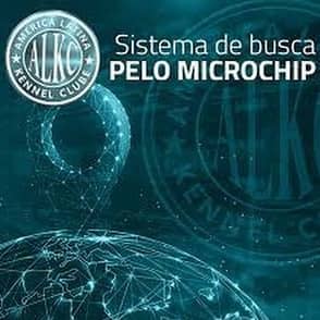 Sistema de Busca Pelo Microchip