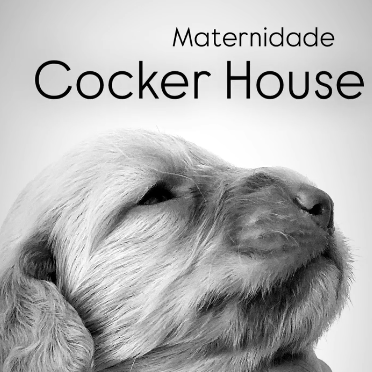 Maternidade Cocker House